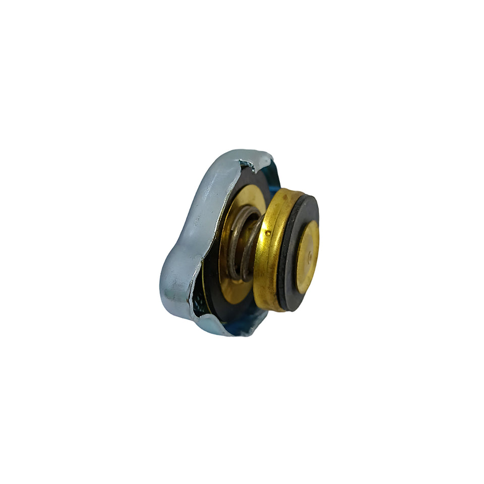 Tampa Radiador R5024