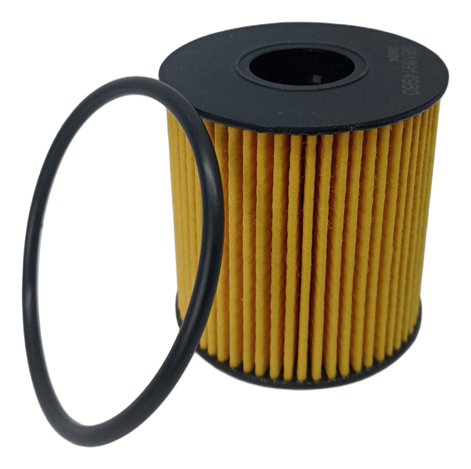 Filtro Oleo 9818914980