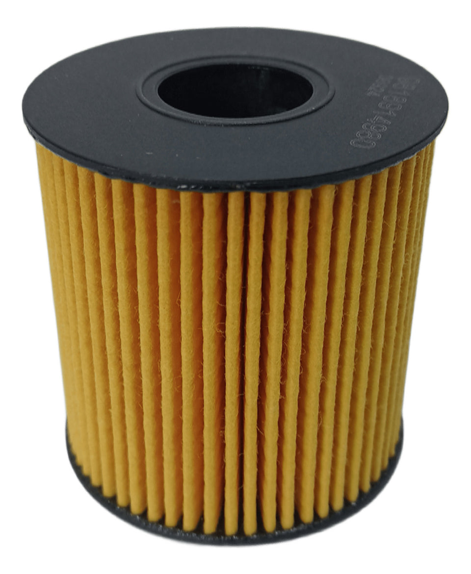 Filtro Oleo 9818914980