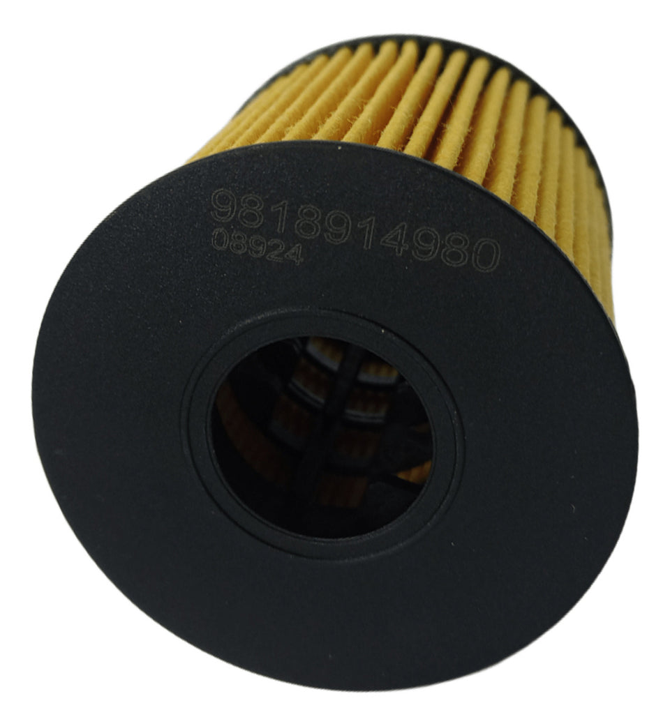 Filtro Oleo 9818914980