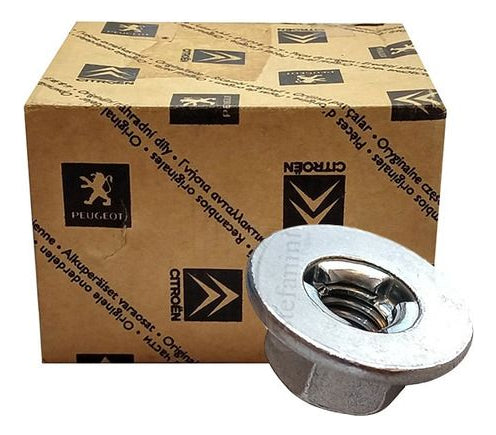 Par Coifa Regulagem Retrovisor 714229614
