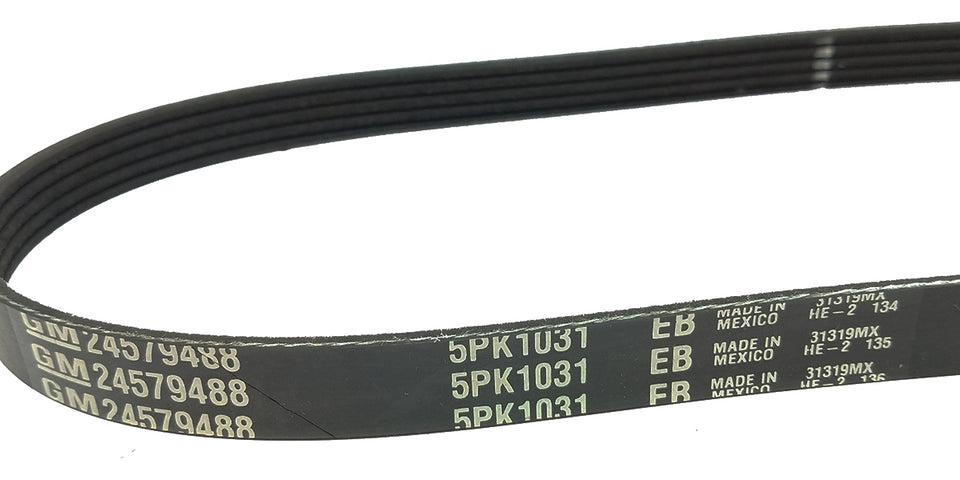 Correia Alternador 24579488