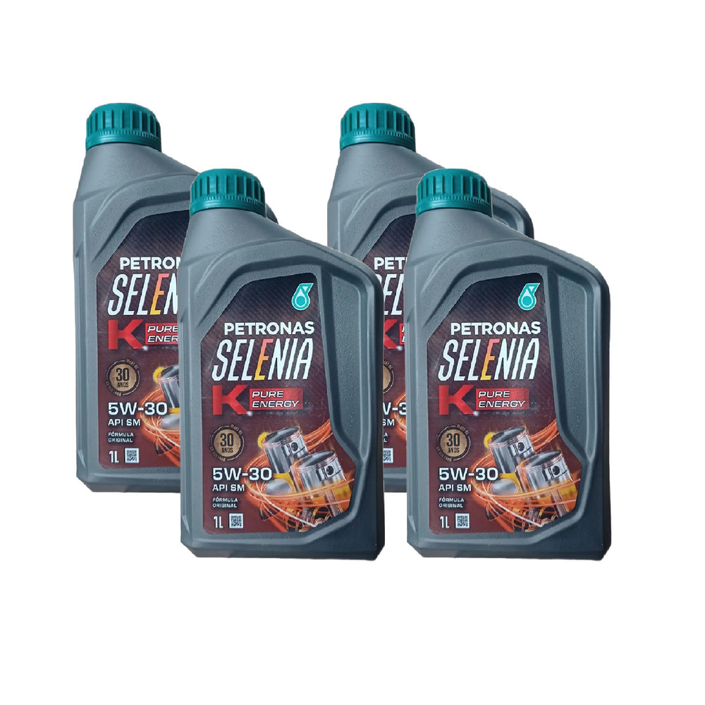 4l Óleo 5w30 Selênia K Pure Energy Petronas 70242e19br