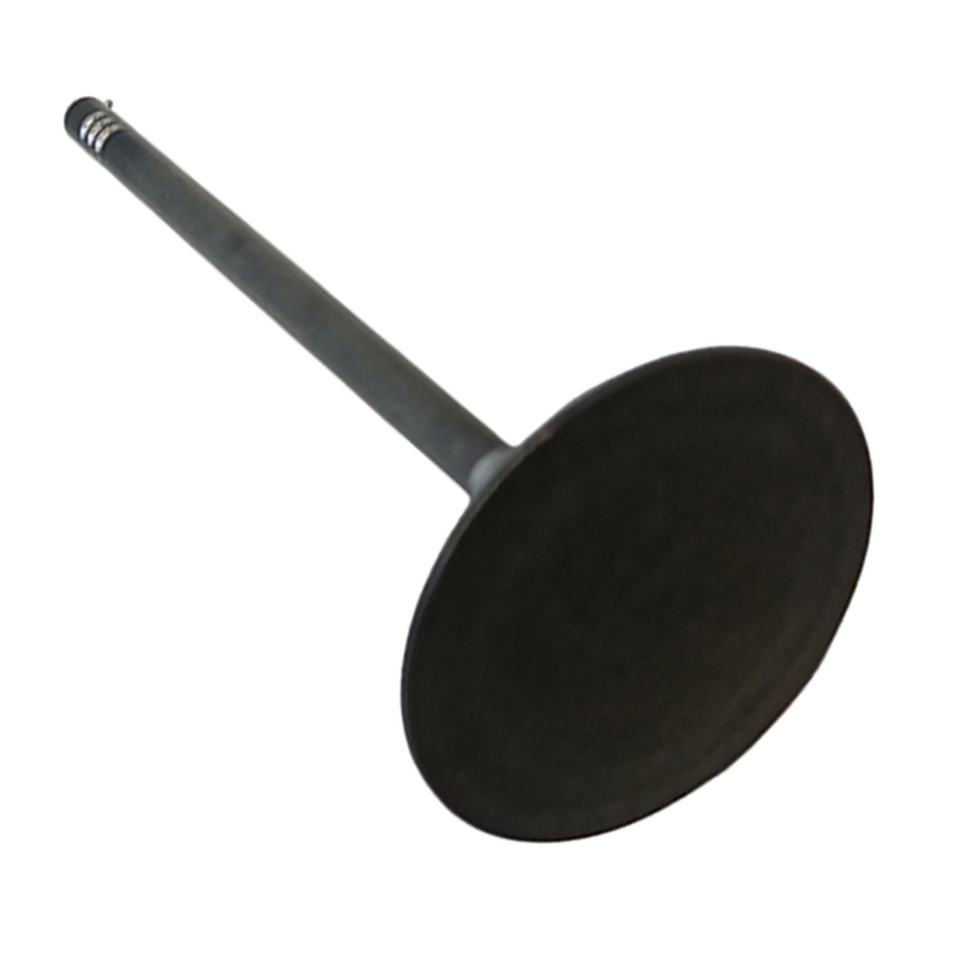 Valvula de Admissao 55267853