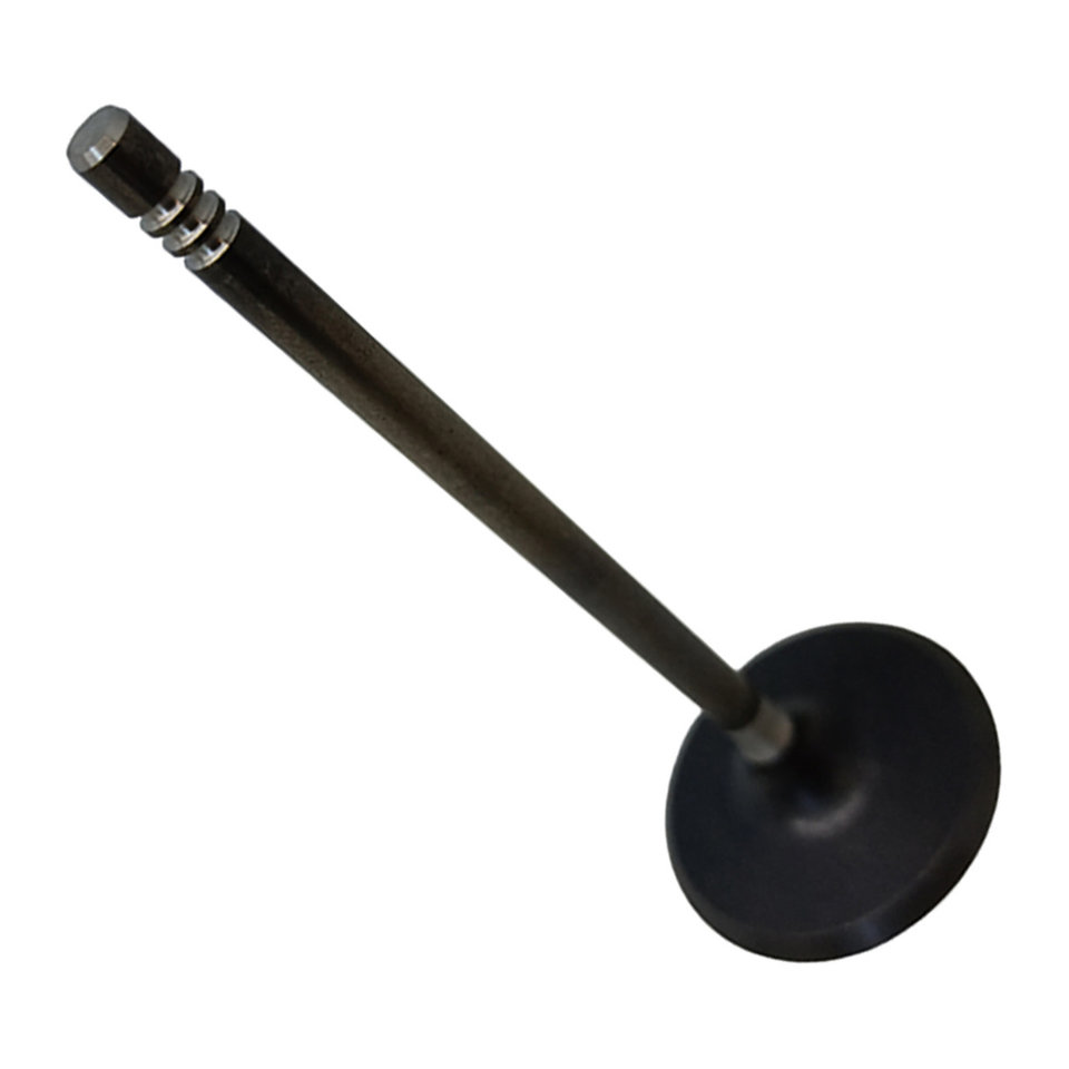 Valvula de Admissao 55267853