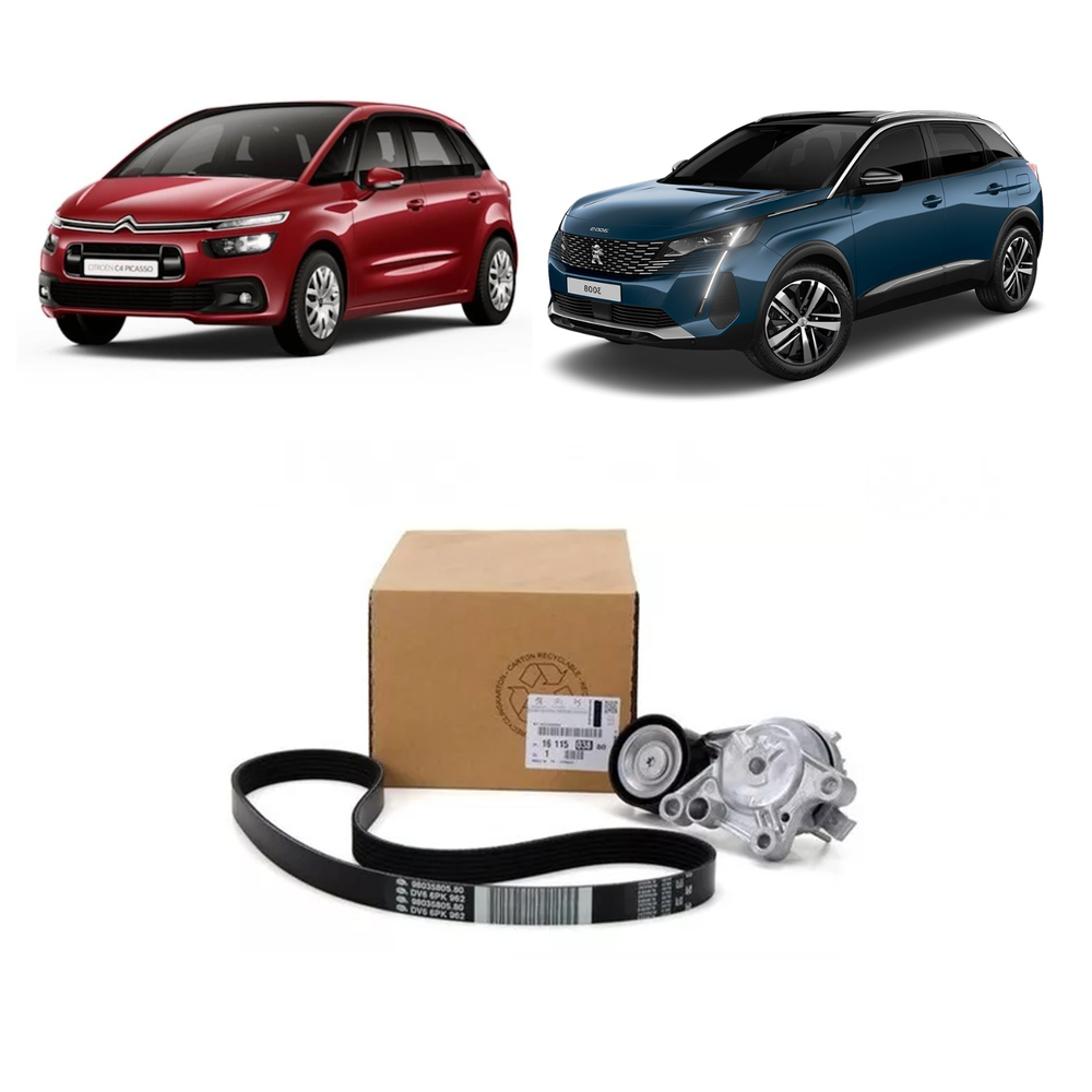 Kit Correia Alternador 1611503880